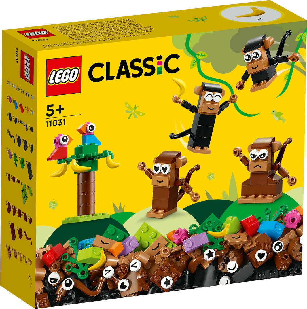 LEGO Classic - Affen Kreativ-Bauset (11031)