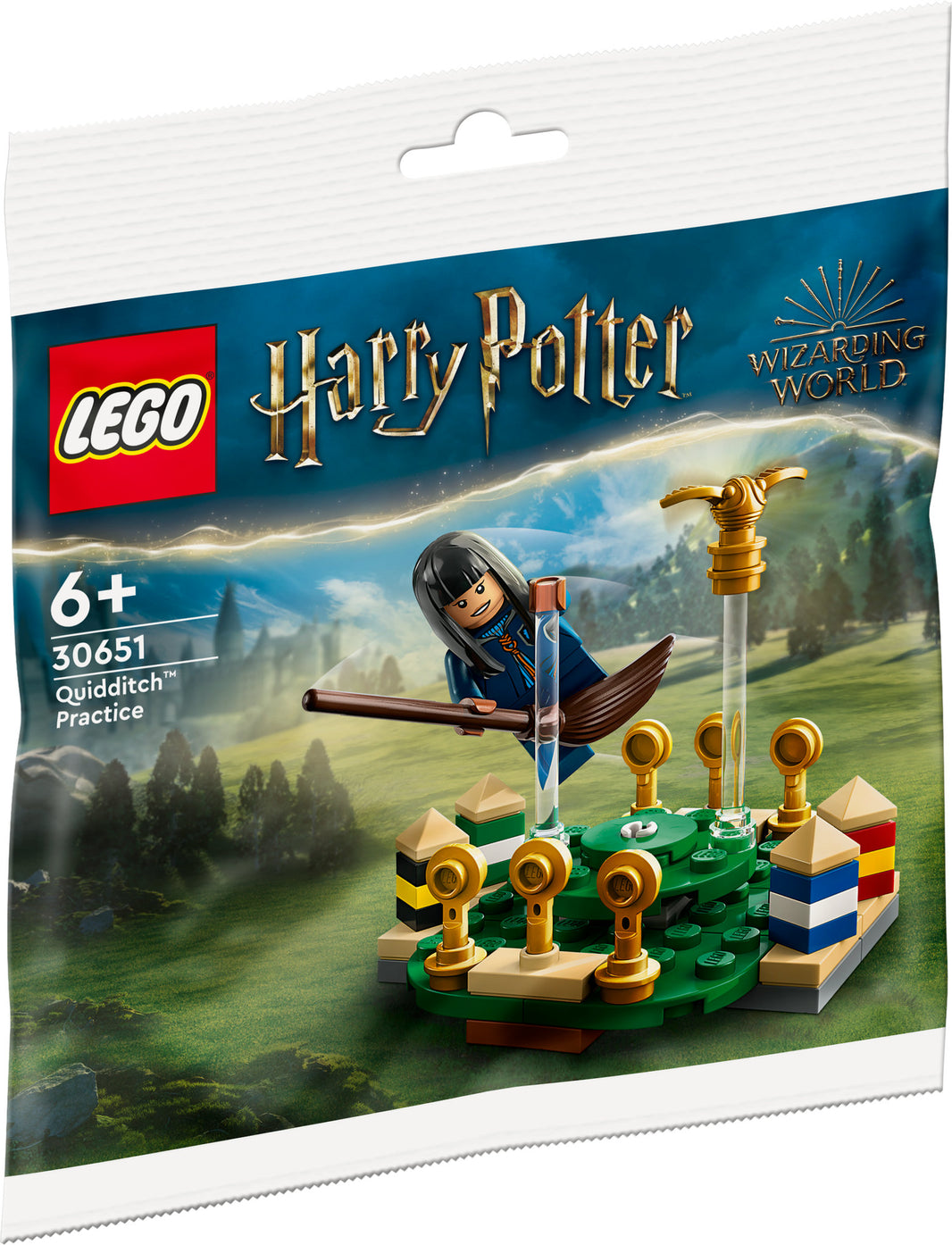 LEGO Harry Potter - Quidditch Training (30651)