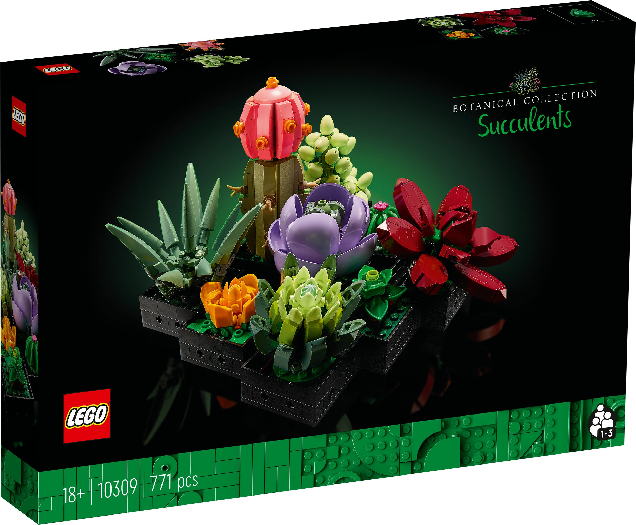 LEGO Botanicals - Sukkulenten (10309)